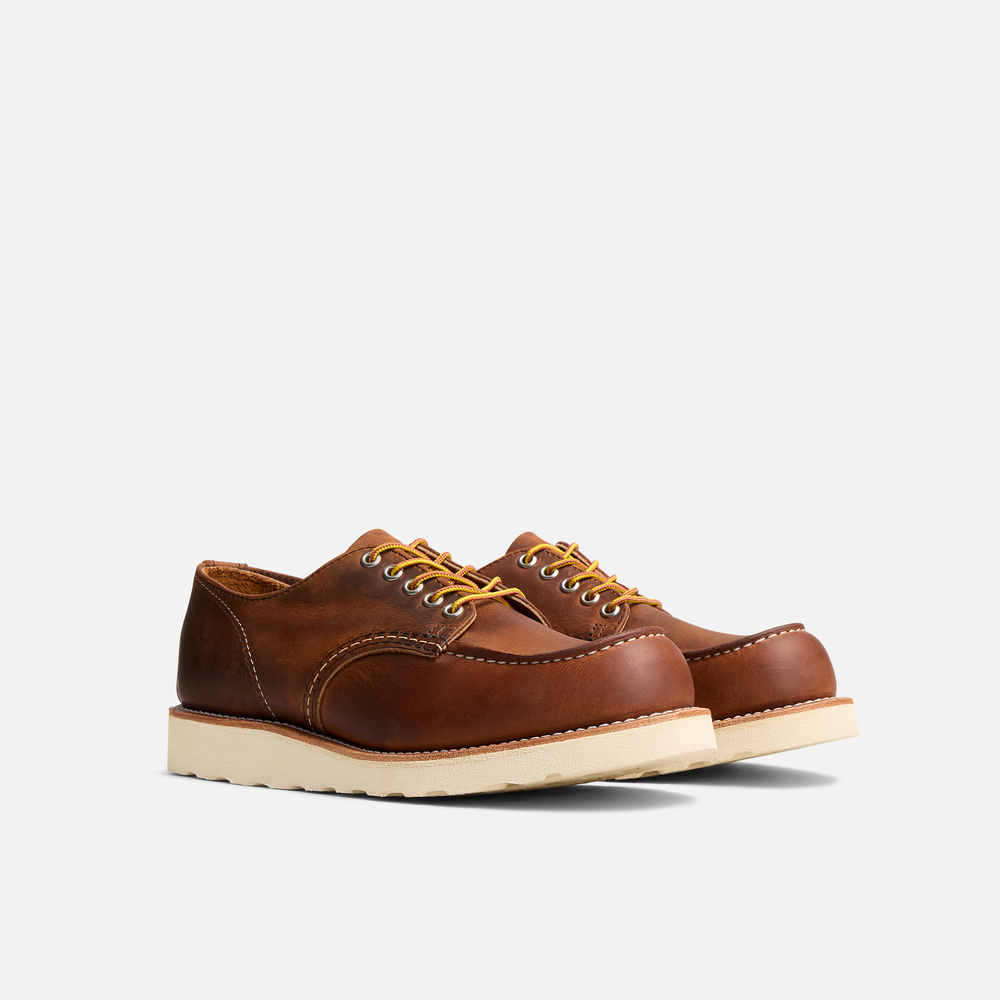 8077 - SHOP MOC OXFORD