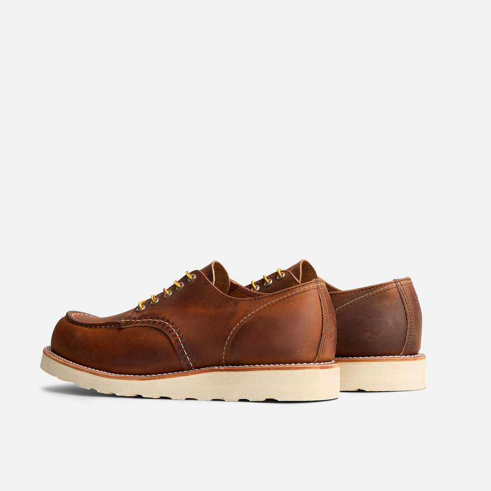 8077 - SHOP MOC OXFORD
