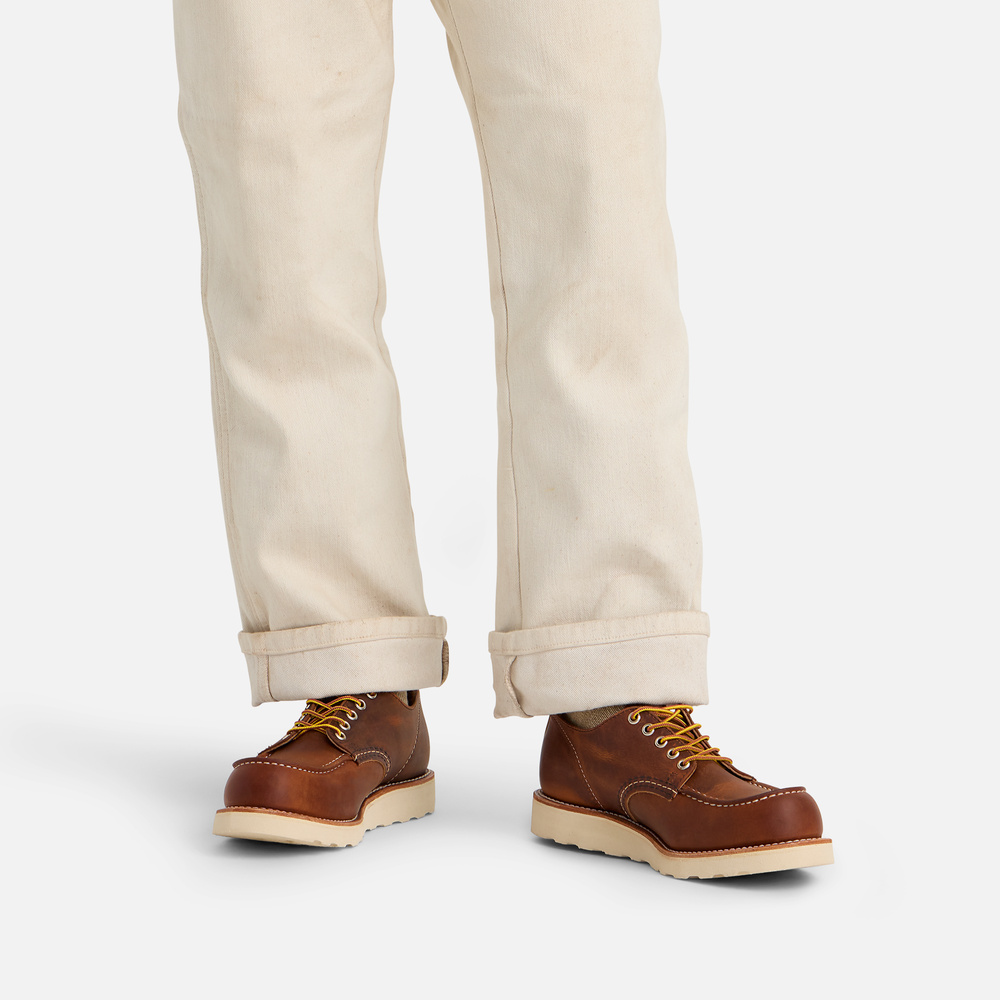 8077 - SHOP MOC OXFORD
